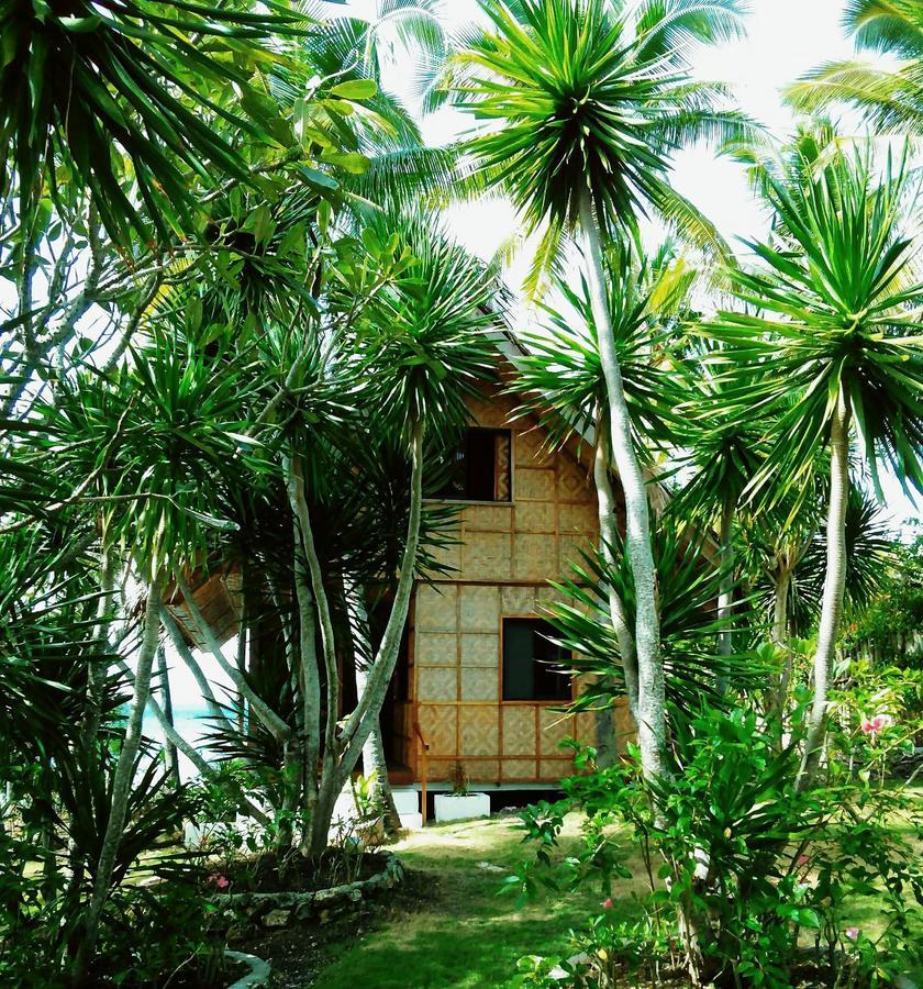Allba's Guest house