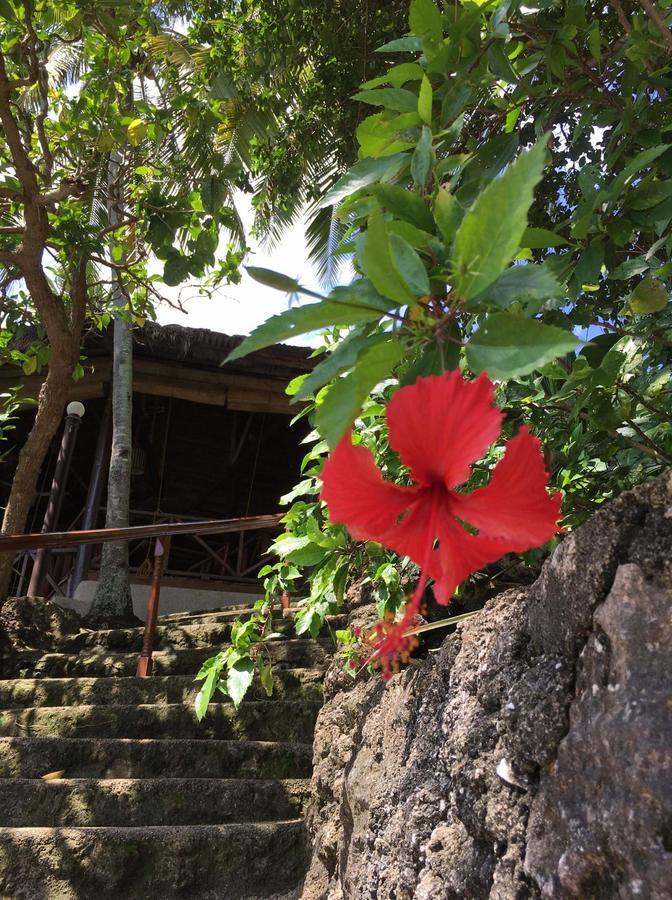 Guest house Allba's Moalboal
